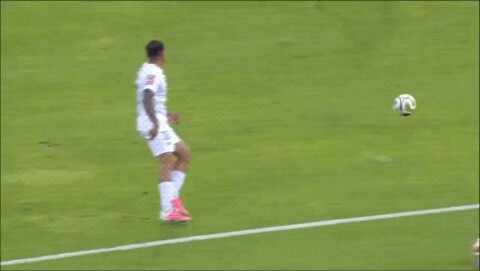 Highlight 17'