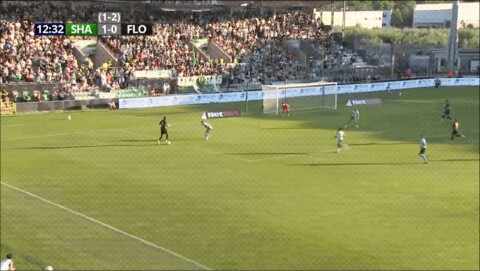 Highlight 13'