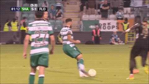 Highlight 81'