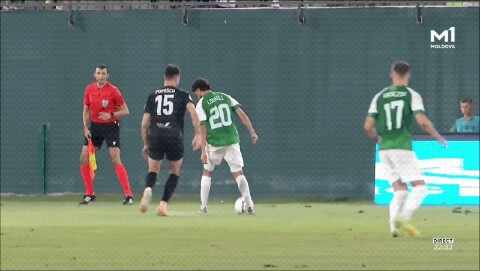 Highlight 33'