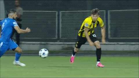 Highlight 88'