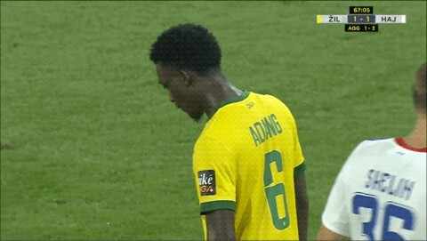 Highlight 67'