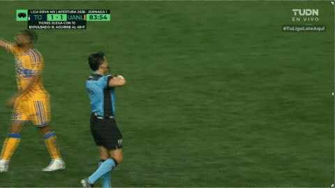 Highlight 84'