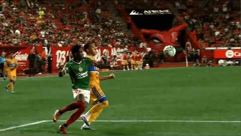 Highlight 95'