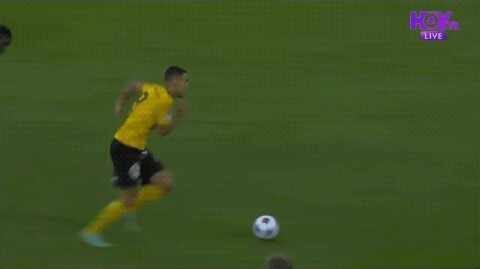 Highlight 84'