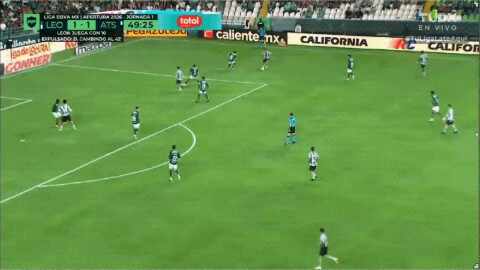Highlight 50'