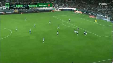 Highlight 77'