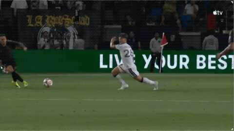 Highlight 80'
