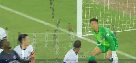 Highlight 13'