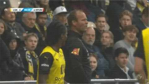 Highlight 40'