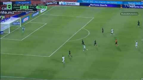 Highlight 80'