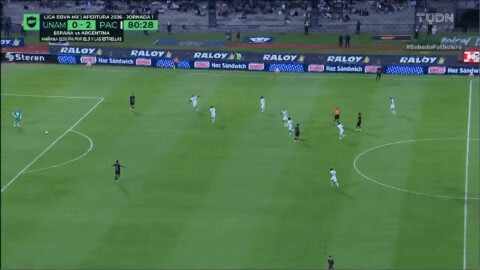 Highlight 81'