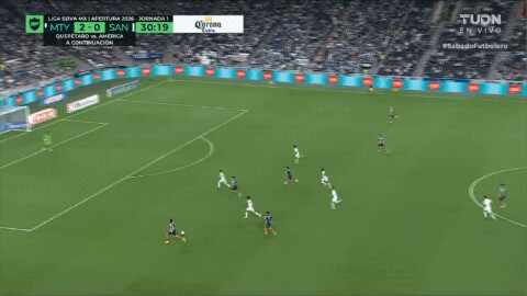 Highlight 31'