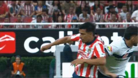 Highlight 50'