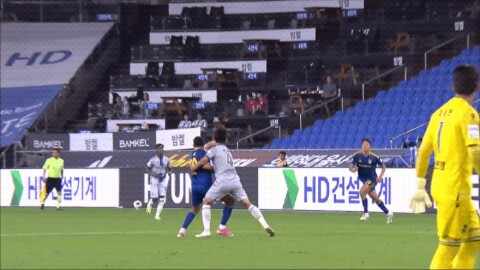 Highlight 79'