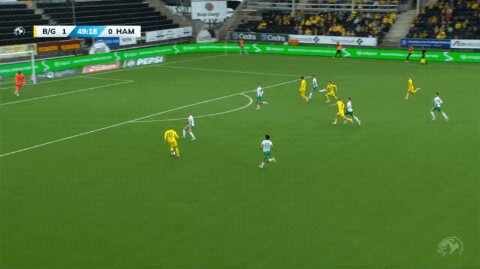 Highlight 50'