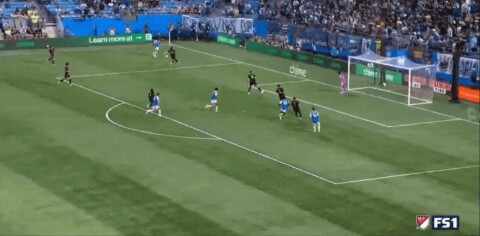 Highlight 100'