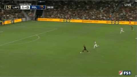 Highlight 40'