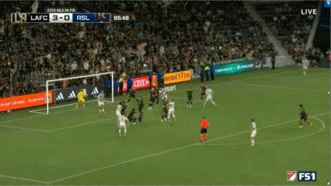 Highlight 86'