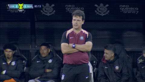 Highlight 86'