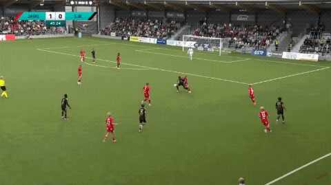 Highlight 50'