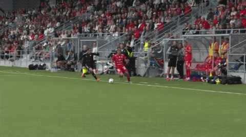 Highlight 82'