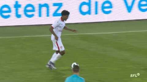 Highlight 50'