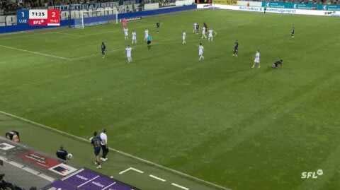 Highlight 72'
