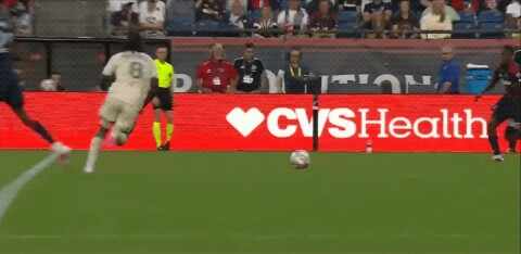 Highlight 20'