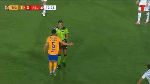 Highlight 13'