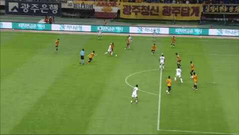 Highlight 40'