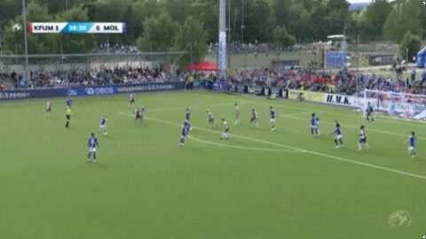 Highlight 40'