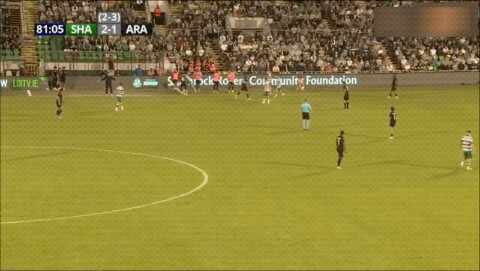 Highlight 81'