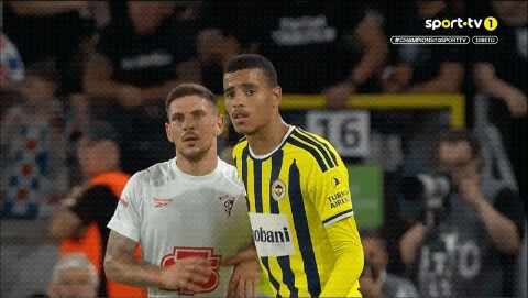 Highlight 91'