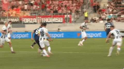 Highlight 50'