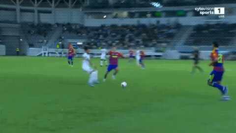 Highlight 50'