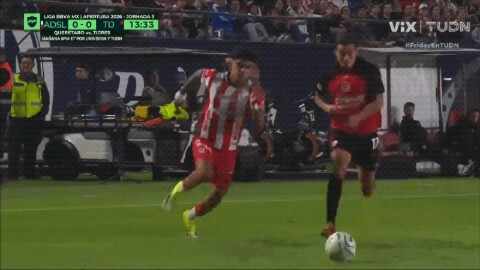 Highlight 14'