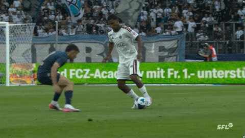 Highlight 50'