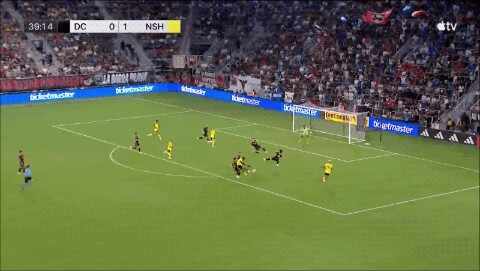 Highlight 40'