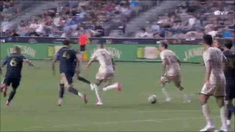 Highlight 53'