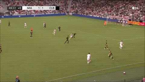 Highlight 50'