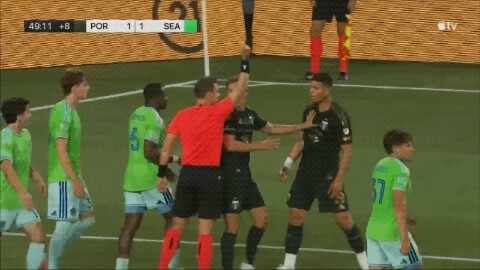 Highlight 50'
