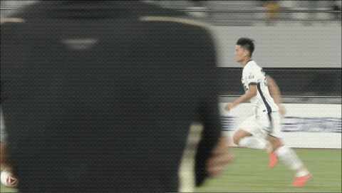 Highlight 48'
