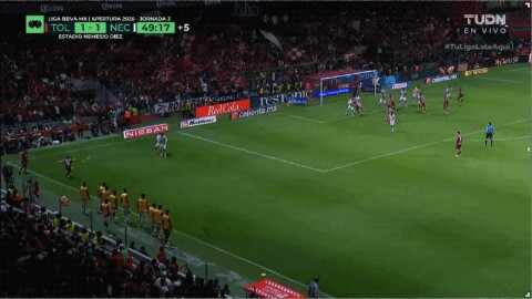 Highlight 50'