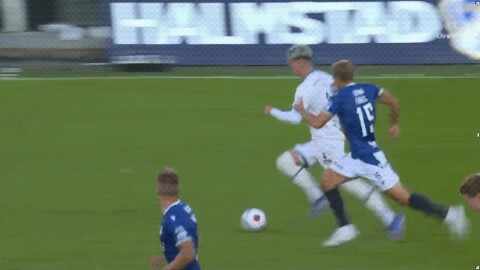 Highlight 50'