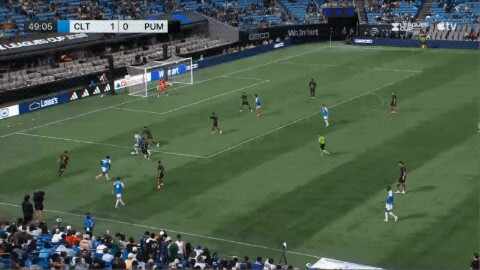 Highlight 50'