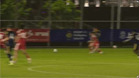 Highlight 30'