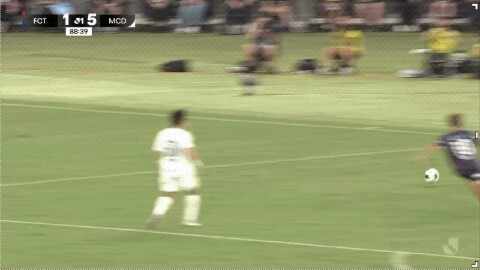 Highlight 89'
