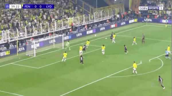 Highlight 40'