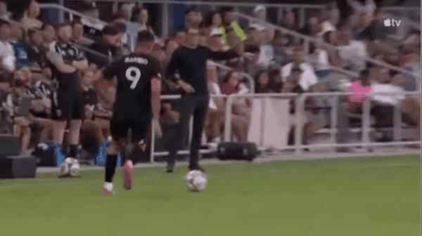 Highlight 13'